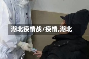 湖北疫情战/疫情,湖北