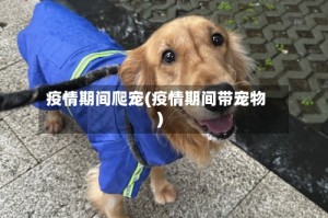 疫情期间爬宠(疫情期间带宠物)