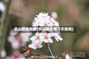 乐山新闻疫情(乐山新闻网今天新闻)