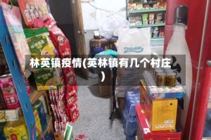 林英镇疫情(英林镇有几个村庄)