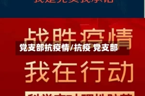 党支部抗疫情/抗疫 党支部