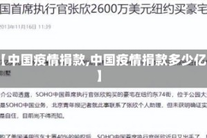 【中国疫情捐款,中国疫情捐款多少亿】