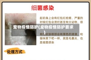 宠物疫情防护(宠物疫情防护要求)