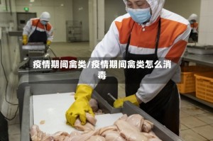 疫情期间禽类/疫情期间禽类怎么消毒