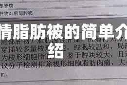疫情脂肪被的简单介绍