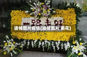 追悼图片疫情(追悼图片 菊花)