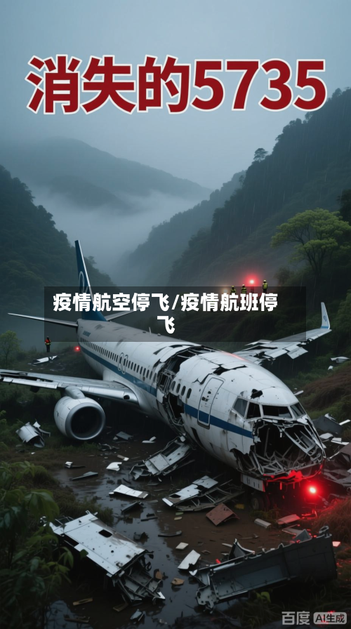 疫情航空停飞/疫情航班停飞-第1张图片