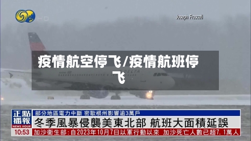 疫情航空停飞/疫情航班停飞-第2张图片