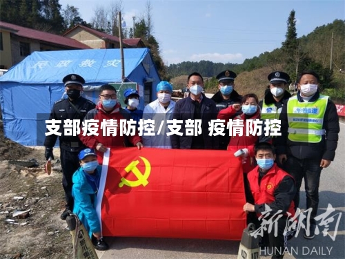 支部疫情防控/支部 疫情防控-第3张图片