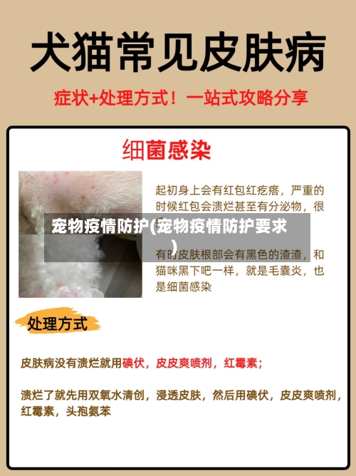 宠物疫情防护(宠物疫情防护要求)-第1张图片
