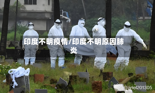 印度不明疫情/印度不明原因肺炎-第1张图片