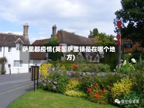 萨里郡疫情(英国萨里镇是在哪个地方)-第2张图片