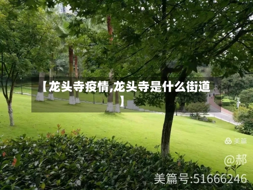 【龙头寺疫情,龙头寺是什么街道】-第2张图片