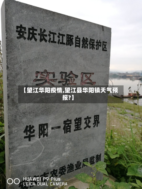 【望江华阳疫情,望江县华阳镇天气预报?】-第1张图片