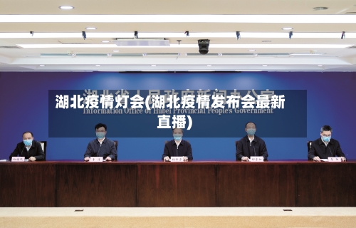 湖北疫情灯会(湖北疫情发布会最新直播)-第1张图片