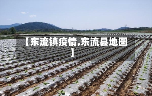 【东流镇疫情,东流县地图】-第2张图片