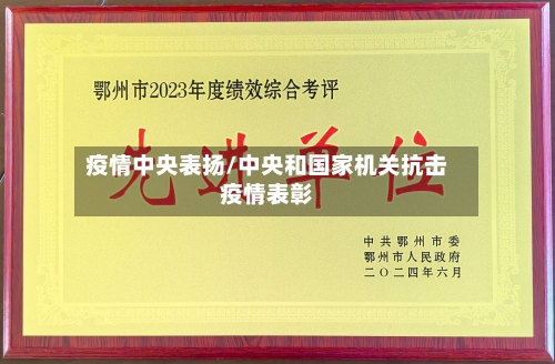 疫情中央表扬/中央和国家机关抗击疫情表彰-第3张图片