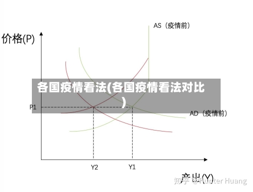 各国疫情看法(各国疫情看法对比)-第1张图片