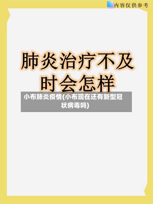 小布肺炎疫情(小布现在还有新型冠状病毒吗)-第1张图片