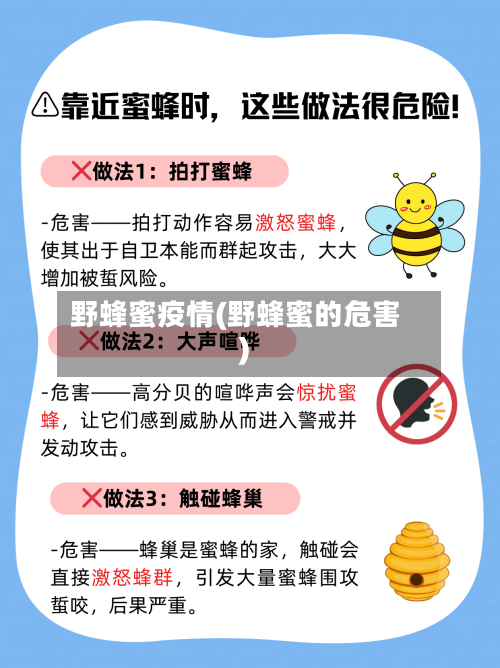 野蜂蜜疫情(野蜂蜜的危害)-第1张图片